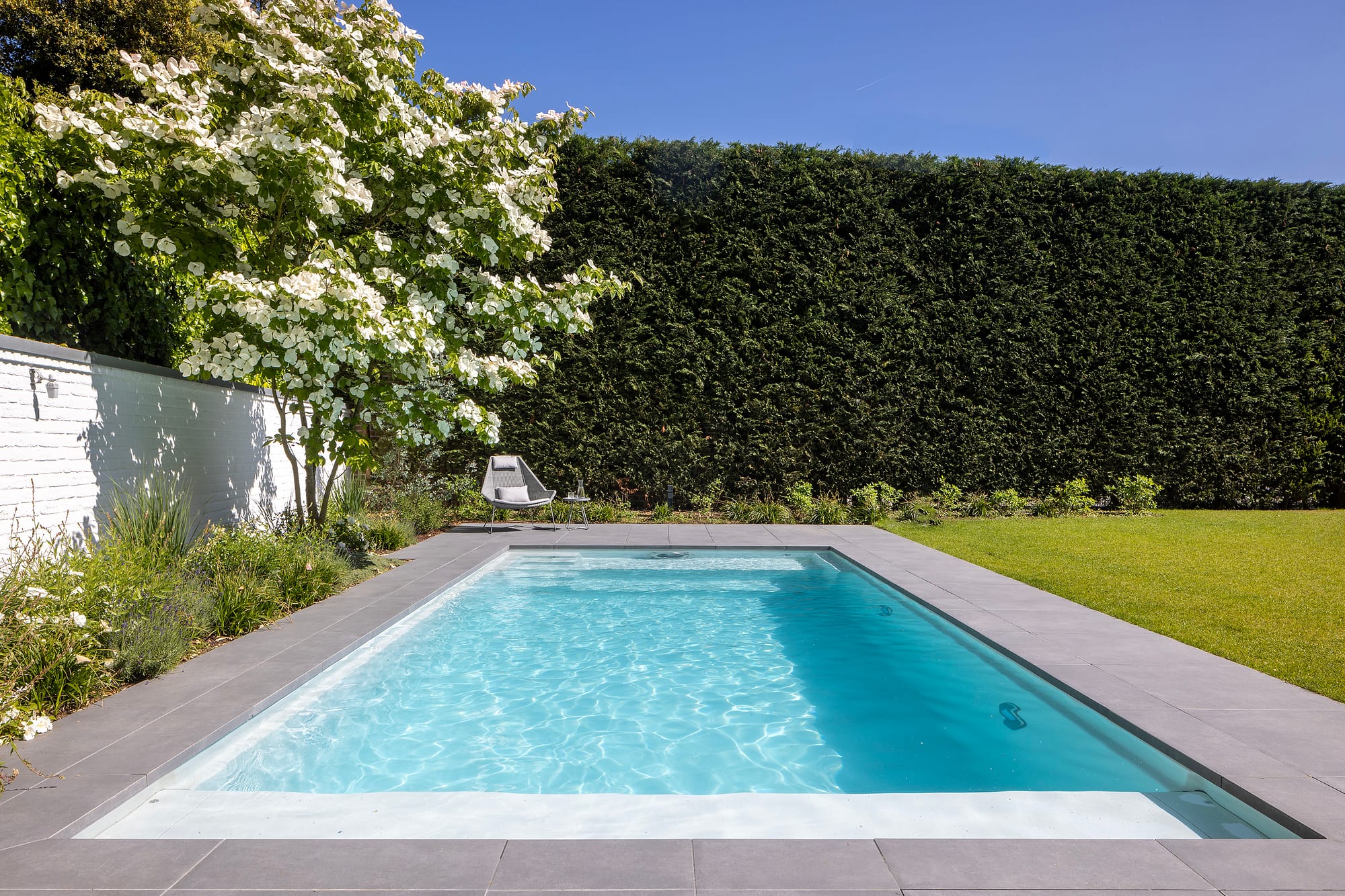 Pool in grünem Garten (4) Pool im Garten
